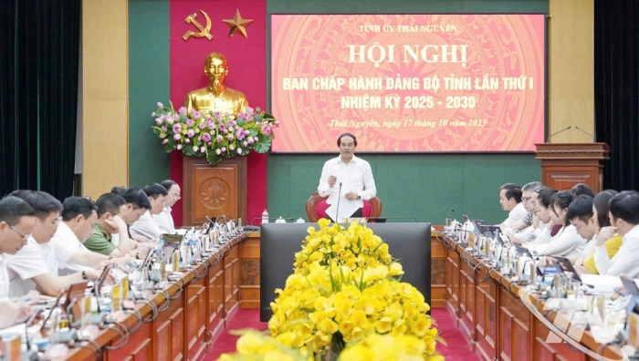 Hội nghị Ban Chấp hành Đảng bộ tỉnh lần thứ I: Cho ý kiến vào nhiều nội dung