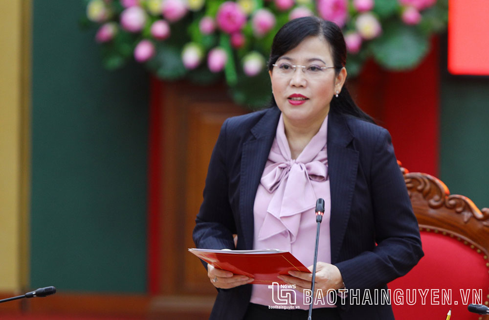 Đồng chí Bí thư Tỉnh ủy Nguyễn Thanh Hải phát biểu khai mạc Hội nghị.