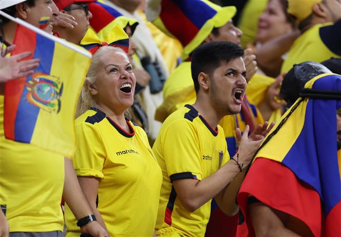 Các cổ động viên Ecuador cổ vũ đội nhà trong trận gặp Qatar tại bảng A World Cup 2022 trên Sân vận động Al-Bayt ở Al Khor, Qatar, ngày 20/11/2022. Ảnh: THX/TTXVN