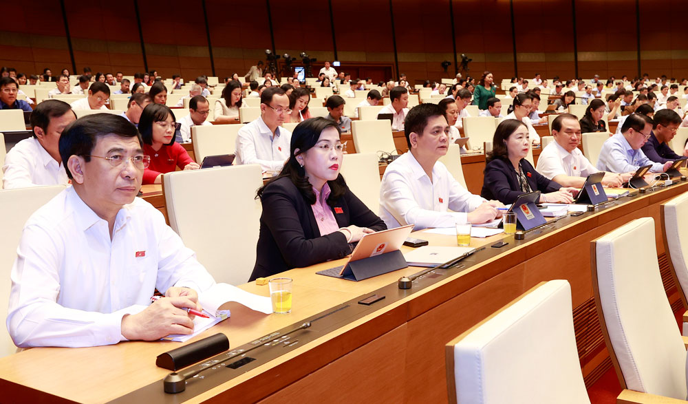 Đoàn đại biểu Quốc hội tỉnh Thái Nguyên tham dự phiên họp. Ảnh: Doãn Tấn (TTXVN)