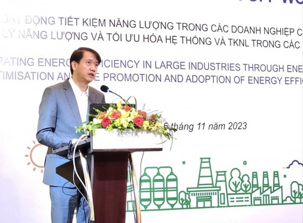 Phuong Hoang Kim, Director of the Project Management Board speaks at the workshop. (Photo: congthuong.vn)