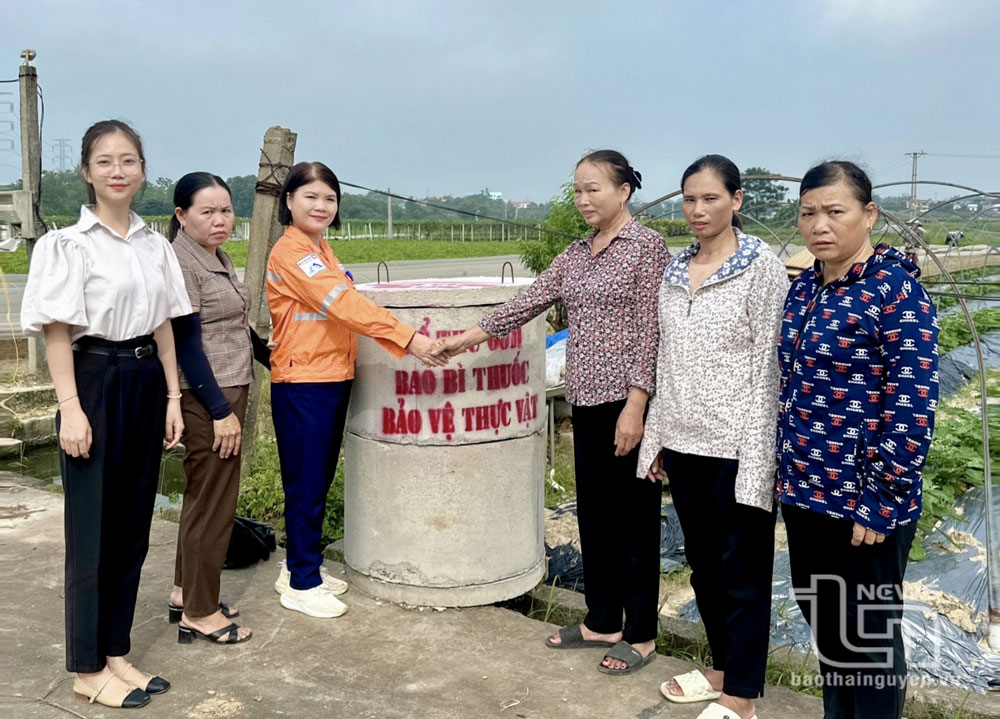 Công ty Núi Pháo hỗ trợ HTX rau và Tổ bảo vệ môi trường sản xuất nông nghiệp tổ dân số Xuân Đài, thị trấn Hùng Sơn (Đại Từ) 10 bể chứa rác, bao bì thuốc bảo vệ thực vật.