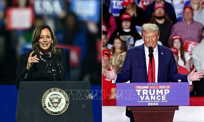 Phó Tổng thống Mỹ Kamala Harris, ứng viên của đảng Dân chủ (trái) và cựu Tổng thống Donald Trump, ứng viên của đảng Cộng hòa. Ảnh: Getty Images/TTXVN