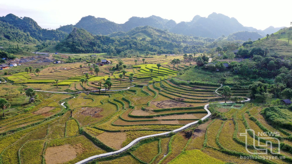 Các tuyến đường đi dạo góp phần thúc đẩy phát triển du lịch Bản Tèn.