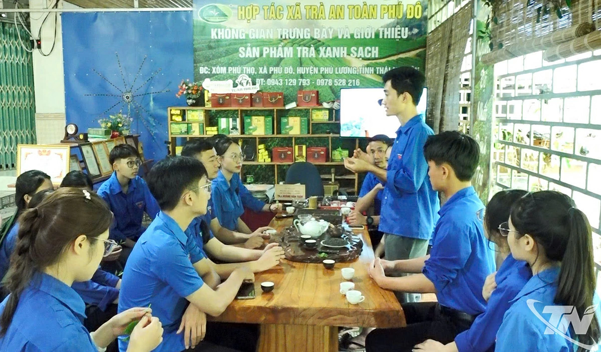 Anh Hoàng Văn Tuấn, Giám đốc HTX chè an toàn Phú Đô chia sẻ về chuyển đổi số trong sản xuất chè cho đoàn viên, thanh niên địa phương.
