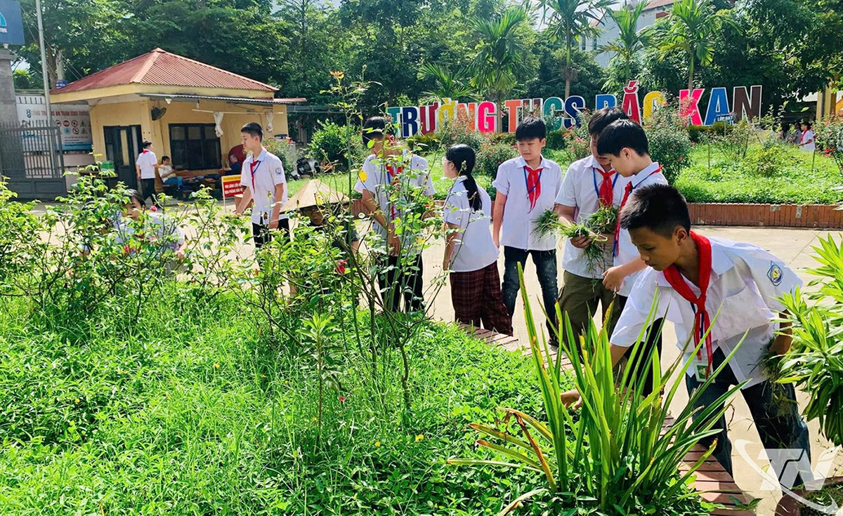 Học sinh
Trường THCS
Bắc Kạn
(phường Bắc
Kạn) thường
xuyên tham gia
quét dọn, vệ
sinh môi trường
xung quanh
trường học.
