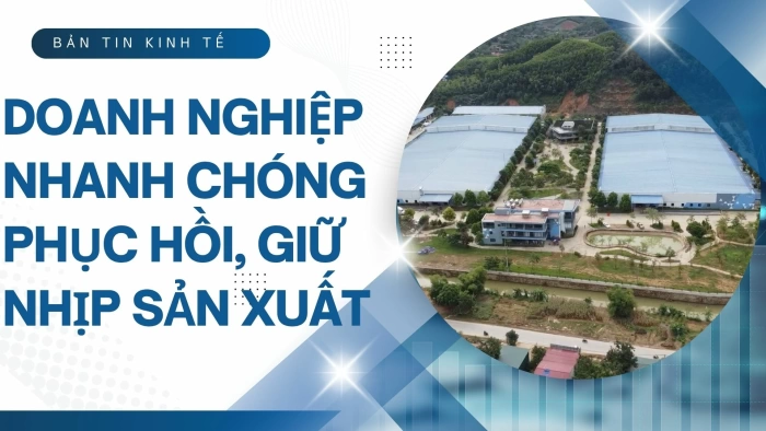 Bản tin Kinh tế tuần 2 tháng 11: Doanh nghiệp nhanh chóng phục hồi, giữ nhịp sản xuất