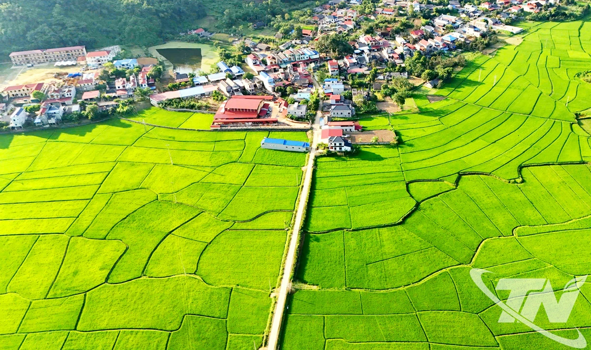 Thực hiện Chương trình xây dựng nông thôn mới và Cuộc vận động “Xây dựng gia đình 5 không, 3 sạch”, nhiều xã miền núi, vùng cao trên địa bàn tỉnh đang đổi thay nhanh chóng. Trong ảnh: Một góc xã Nam Cường.