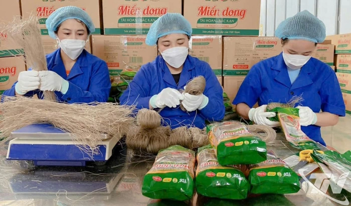 Côn Minh - Mùa nối mùa