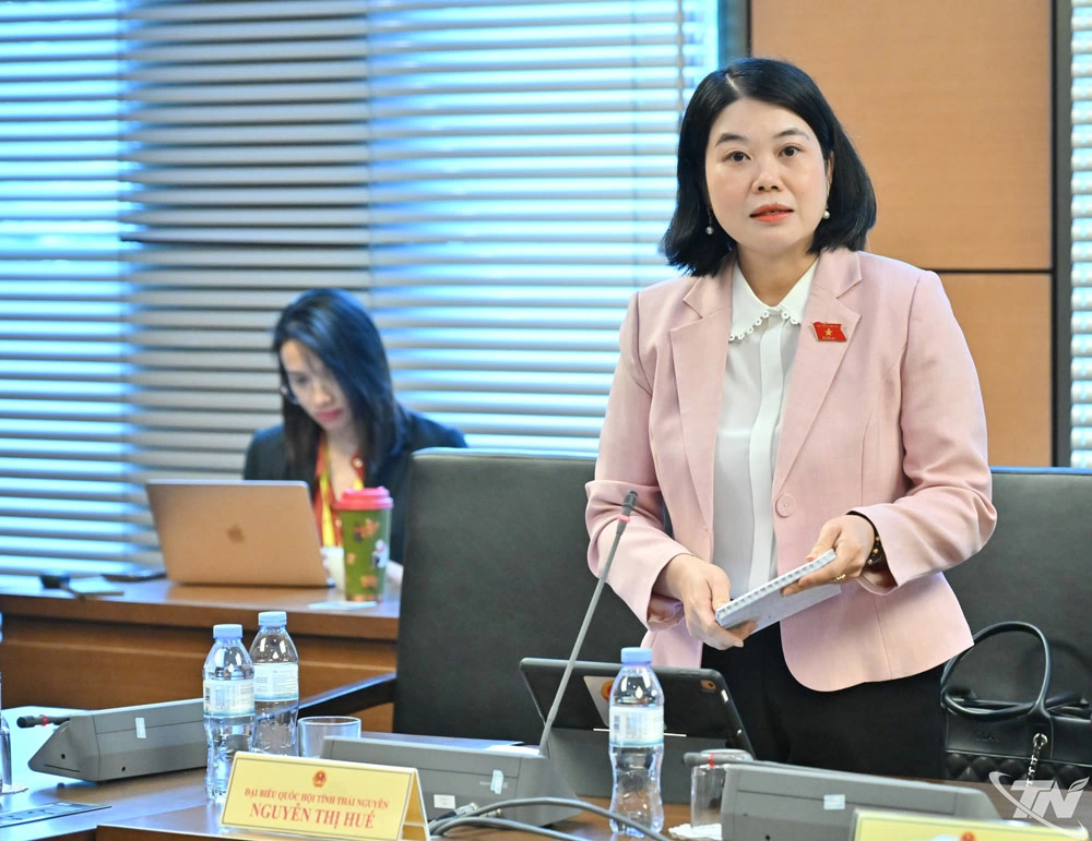 đại biểu Nguyễn Thị Huế (Đoàn ĐBQH tỉnh Thái Nguyên)