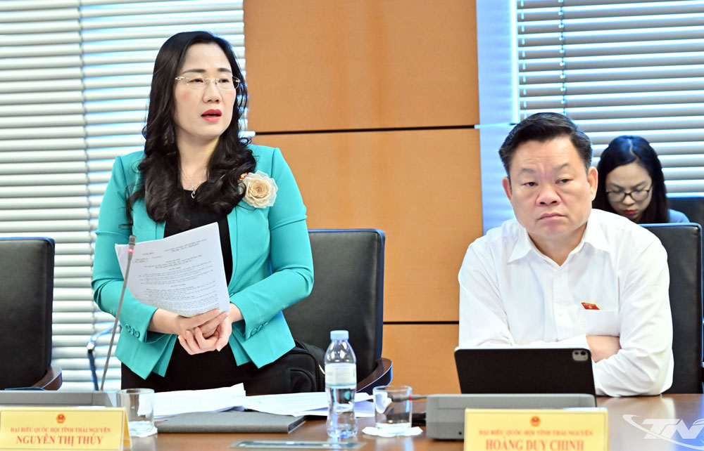Đại biểu Nguyễn Thị Thủy (Đoàn ĐBQH tỉnh Thái Nguyên).