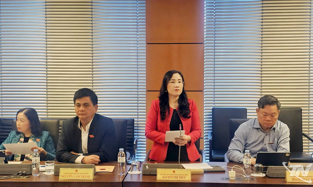 đại biểu Nguyễn Thị Thủy (Đoàn ĐBQH tỉnh Thái Nguyên)