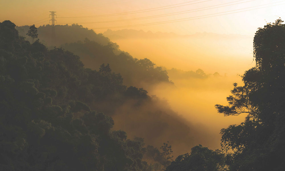 Rừng mờ sương. Ảnh: Phạm Phong