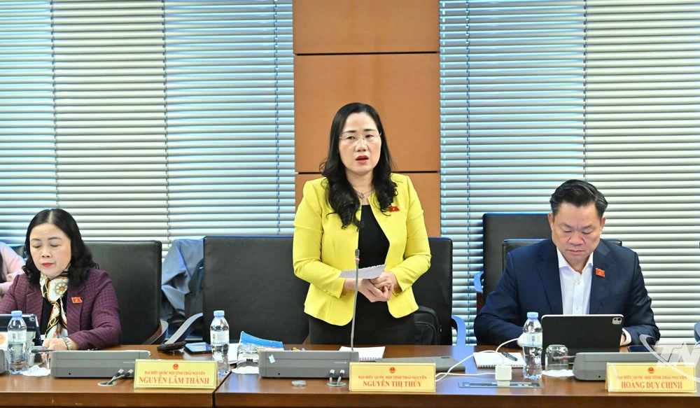 đại biểu Nguyễn Thị Thủy (Đoàn ĐBQH tỉnh Thái Nguyên) Phát biểu tại tổ thảo luận về Dự án Luật sửa đổi, bổ sung một số điều của Luật Kinh doanh bảo hiểm.