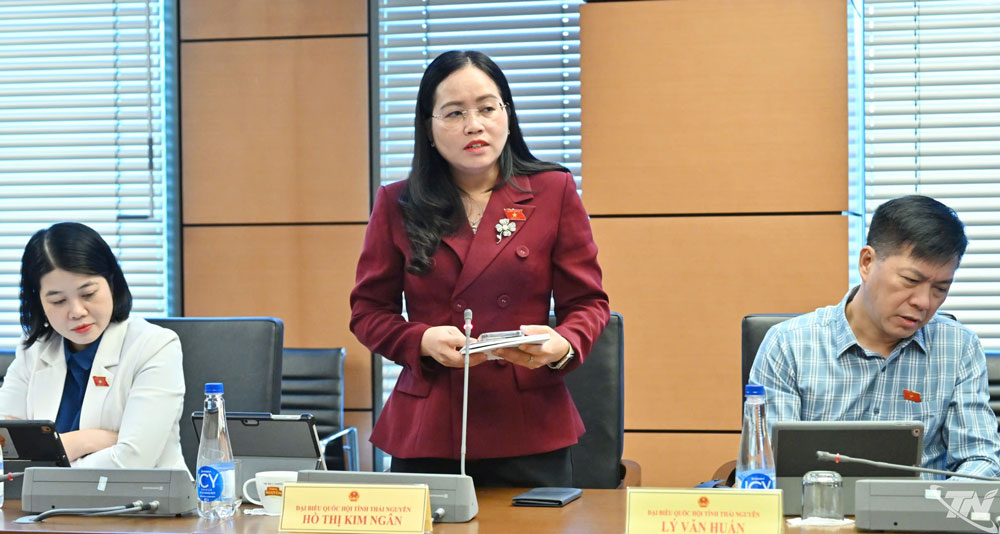 đại biểu Hồ Thị Kim Ngân

Quan tâm đến các vấn đề liên quan đến tổ chức và quản lý các dự án đầu tư xây dựng ở cấp xã trong dự thảo Luật Xây dựng (sửa đổi), 