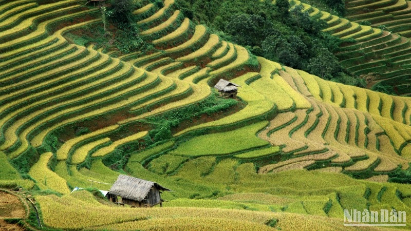 Xây dựng chiến lược tổng thể cho thương hiệu du lịch văn hóa dân tộc thiểu số.