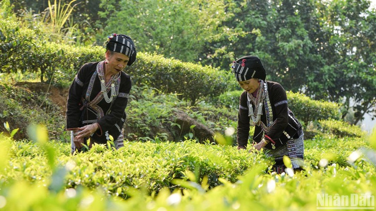 Phát triển du lịch góp phần tạo sinh kế cho bà con vùng dân tộc thiểu số.