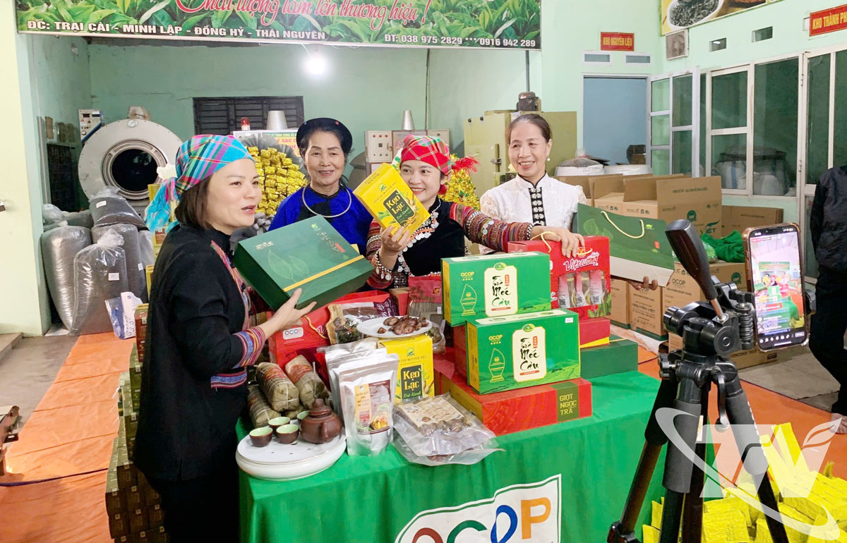 Livestream bán hàng là một trong những phương thức giới thiệu, tiêu thụ sản phẩm chè hiệu quả.