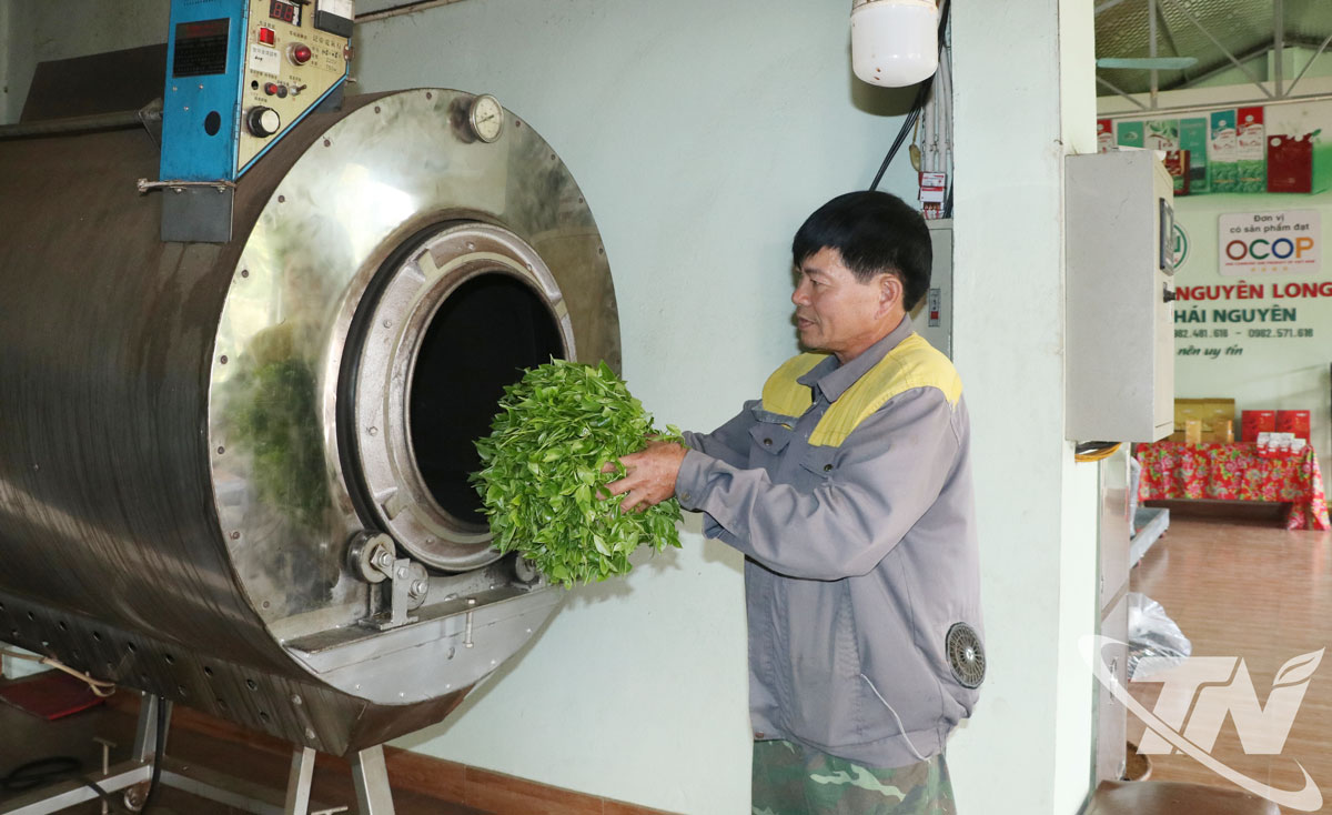 HTX trà Nguyên Long (xã Tân Cương) được hỗ trợ kinh phí để đầu tư 1 máy đóng gói trà tự động và 1 máy sao chè bằng gas.