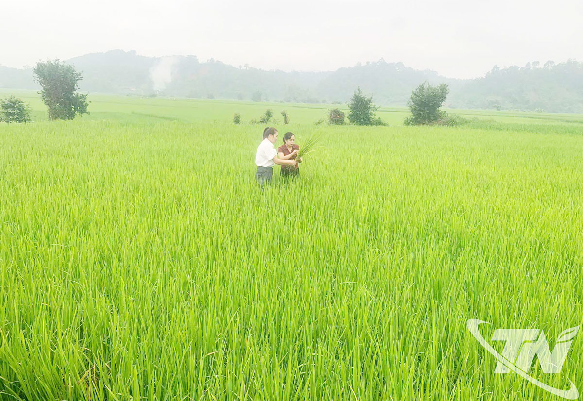 Cán bộ xã Kim Phượng thường xuyên xuống cơ sở hỗ trợ người dân.