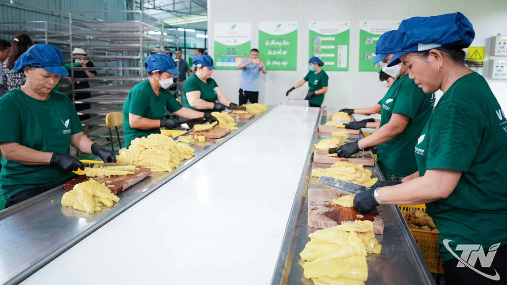 Xưởng sản xuất được đầu tư theo tiêu chuẩn quốc tế HACCP của Hợp tác xã Chế biến nông sản Võ Nhai.