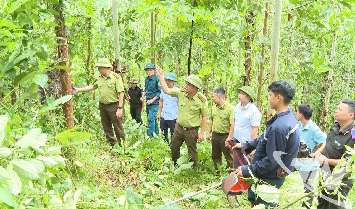 Authorities of Sang Moc commune coordinate with functional forces to propagate the Forestry Law to forest owners.