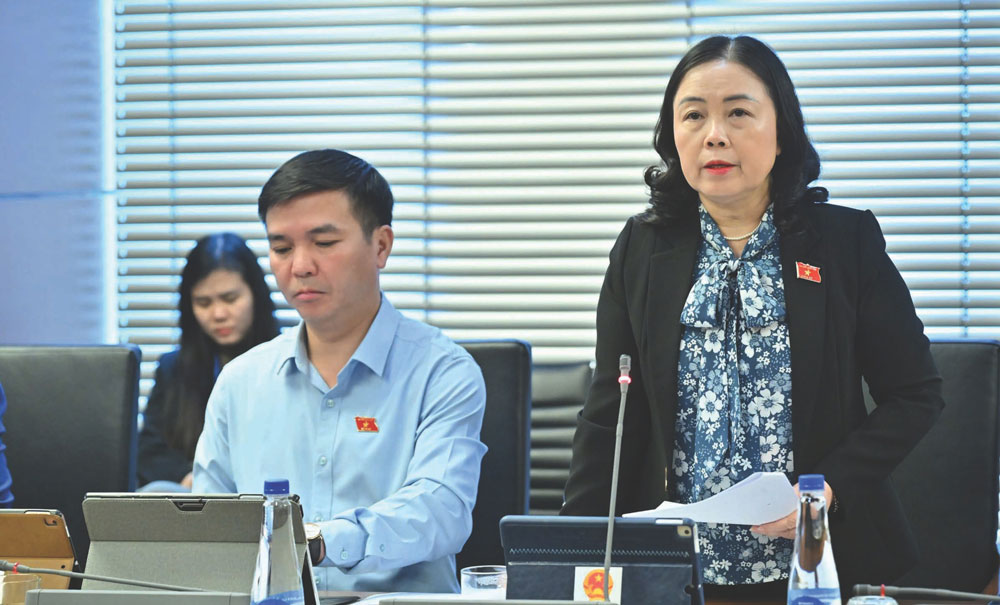 Đồng chí Đoàn Thị Hảo, Phó Trưởng đoàn ĐBQH chuyên trách Phụ trách Đoàn ĐBQH tỉnh Thái Nguyên.