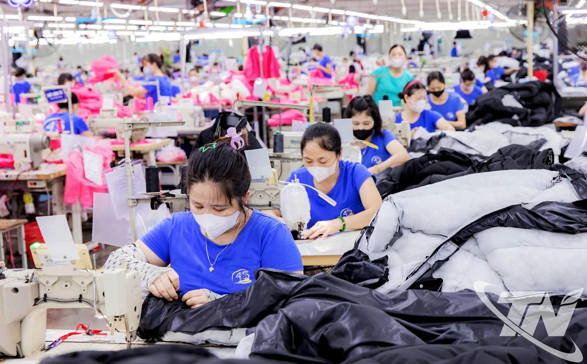 Công nhân nữ chiếm tỷ lệ cao tại Công ty CP Đầu tư và Thương mại TNG