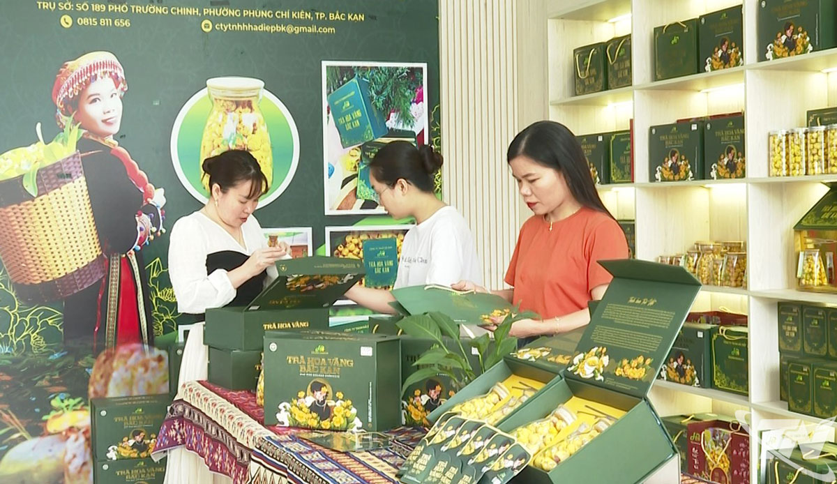 Công ty TNHH Hà Diệp