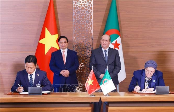 Thủ tướng Phạm Minh Chính và Thủ tướng Algeria Sifi Ghrieb chứng kiến ký Hiệp định về hợp tác trong lĩnh vực giáo dục giữa hai Chính phủ. Ảnh: Dương Giang/TTXVN