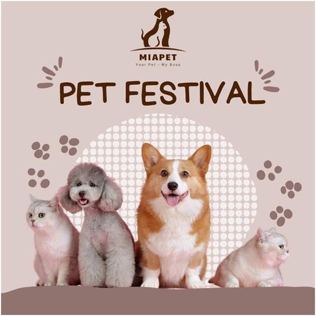 MIAPET – Cầu nối uy tín giữa “sen” và dịch vụ thú cưng.