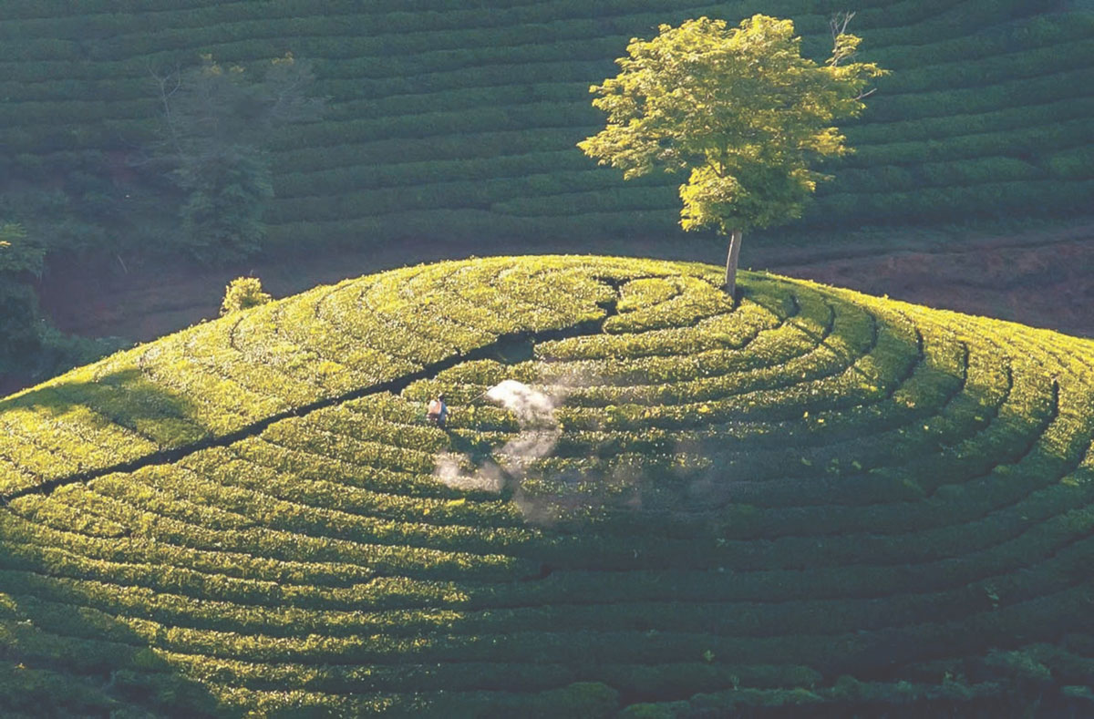 Nắng thu. Ảnh: Vũ Kim Khoa