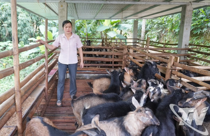 Khát vọng thoát nghèo ở Yên Phong