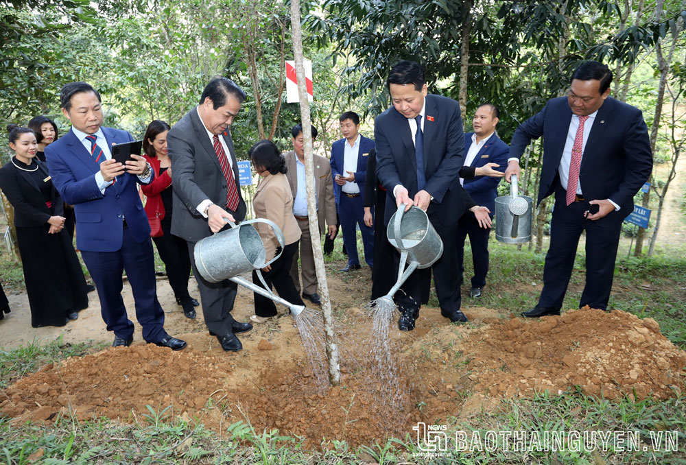 Đoàn công tác của Ban Dân nguyện thuộc Uỷ ban Thường vụ Quốc hội trồng cây trong khuôn viên Nhà tưởng niệm Chủ tịch Hồ Chí Minh tại ATK Định Hóa.