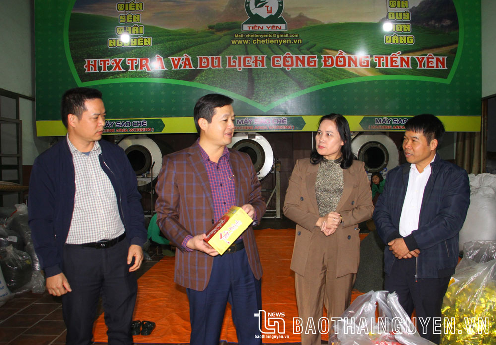 Đồng chí Phạm Hoàng Sơn thăm HTX Trà và Du lịch cộng đồng Tiến Yên.