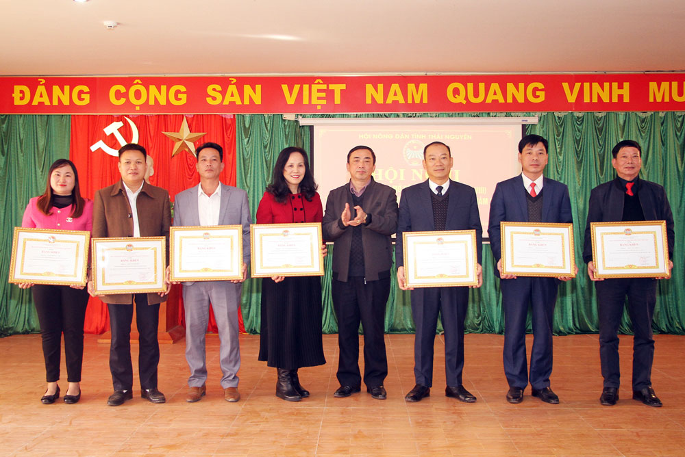 Lãnh đạo Ban Dân vận Tỉnh ủy trao Bằng khen của Trung ương Hội Nông dân Việt Nam cho các cá nhân.