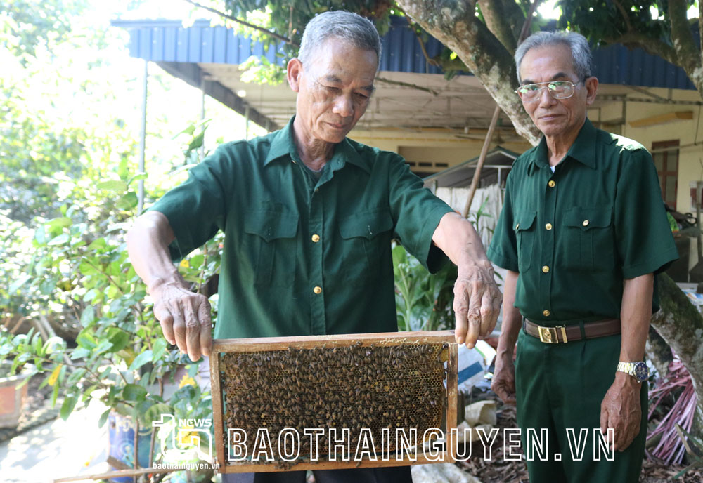 Thương binh Vũ Thành Ninh (bên trái) chia sẻ kinh nghiệm khai thác mật ong với hội viên cựu chiến binh xã Hóa Thượng.