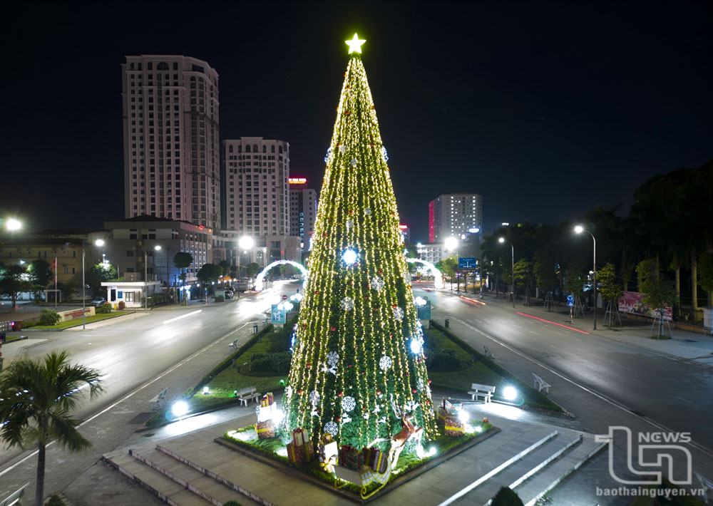 Tại trung tâm TP. Thái Nguyên, chính quyền địa phương cho dựng một cây thông trang trí lớn trên đường Đội Cấn.