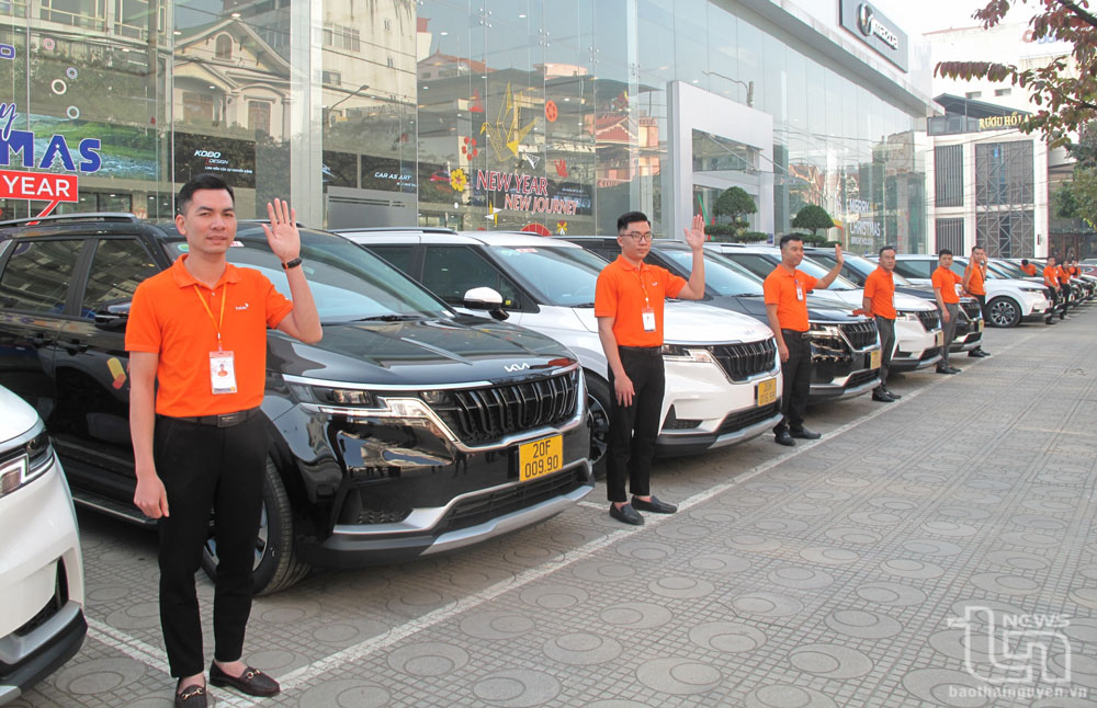 Việc tiếp nhận 30 xe trên tổng số 100 xe mang nhãn hiệu Kia Carnival - mẫu xe SUV nhằm nâng cao chất lượng dịch vụ của Công ty CP Thương mại và Du lịch Hà Lan.