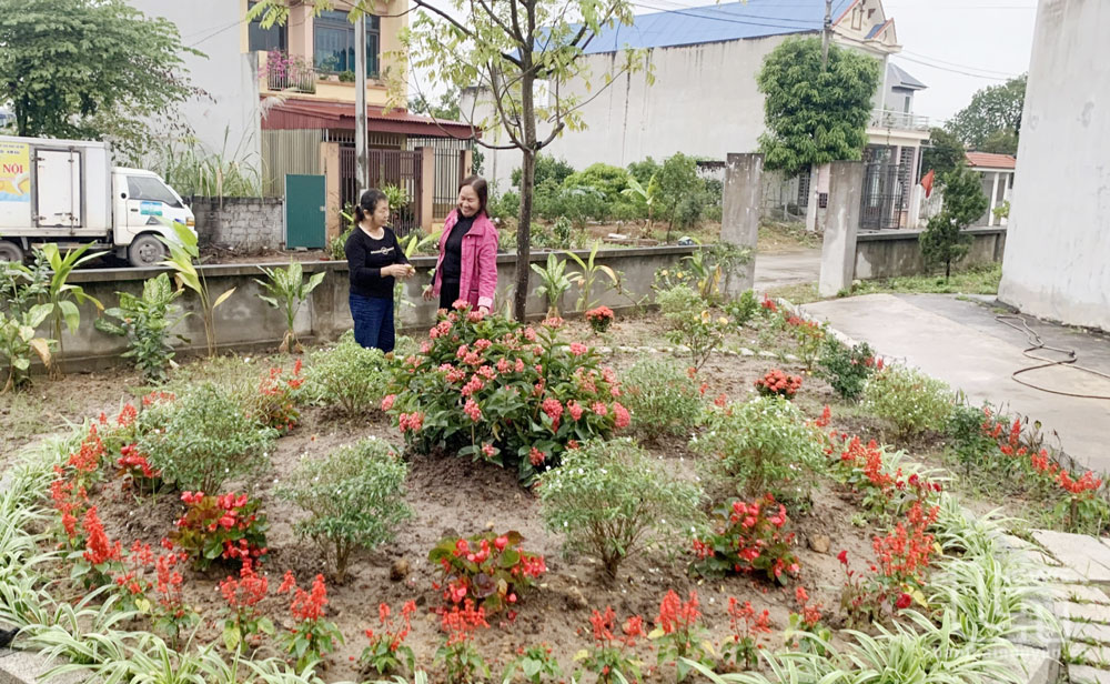 Mô hình trồng cây xanh do Hội Liên hiệp Phụ nữ xã Quyết Thắng xây dựng tại nhà văn hóa xóm Gò Móc.