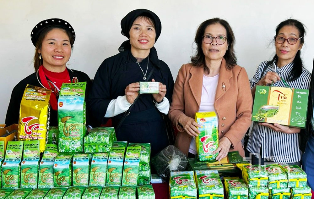 Chị Vi Thị Phương (thứ 2 từ trái sang), Tổ trưởng Tổ nghề nghiệp trồng và chế biến chè hữu cơ La Giang (xã Quang Sơn, huyện Đồng Hỷ) được vay vốn từ Quỹ hỗ trợ nông dân để sản xuất chè an toàn.
