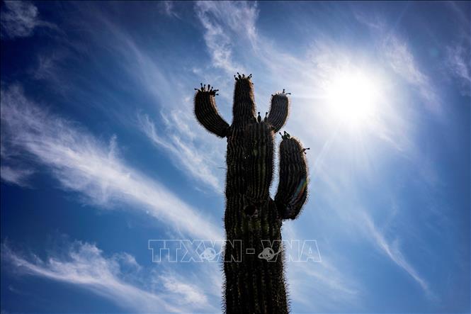 Nắng gay gắt tại thành phố Phoenix, Ariona, Mỹ ngày 7/6/2024. Ảnh: AFP/TTXVN