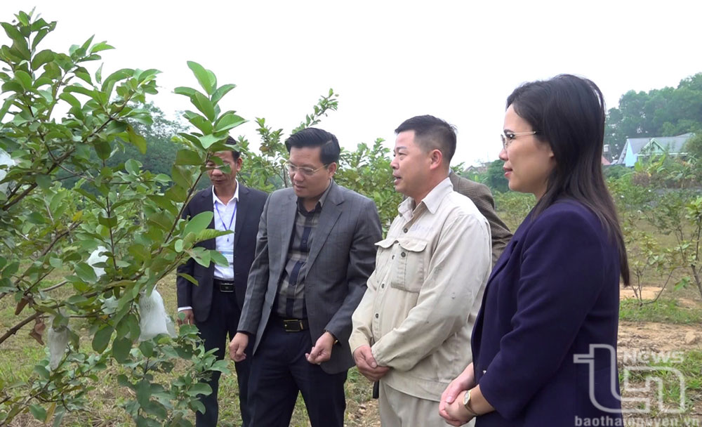 Đoàn thẩm định thăm một mô hình phát triển kinh tế tại xã Tân Quang.    