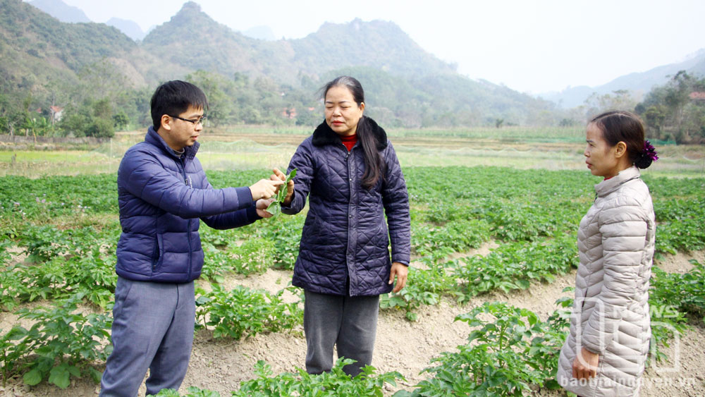 Nhân viên Trung tâm Giáo dục nghề nghiệp - Giáo dục thường xuyên huyện Võ Nhai thường xuyên bám sát đồng ruộng để hỗ trợ người dân phát triển sản xuất sau khi được học nghề.