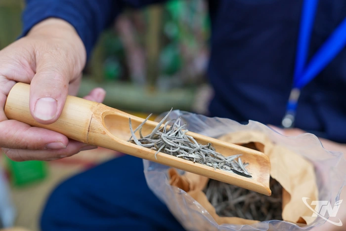 Bằng Phúc khoe hương danh trà, lan tỏa tinh hoa chè Thái Nguyên