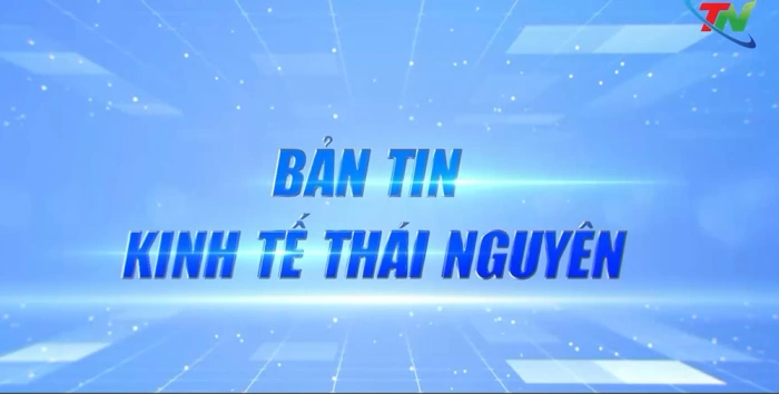 Bản tin Kinh tế tuần 3 tháng 12: Thái Nguyên thu ngân sách đạt cao nhất từ trước đến nay