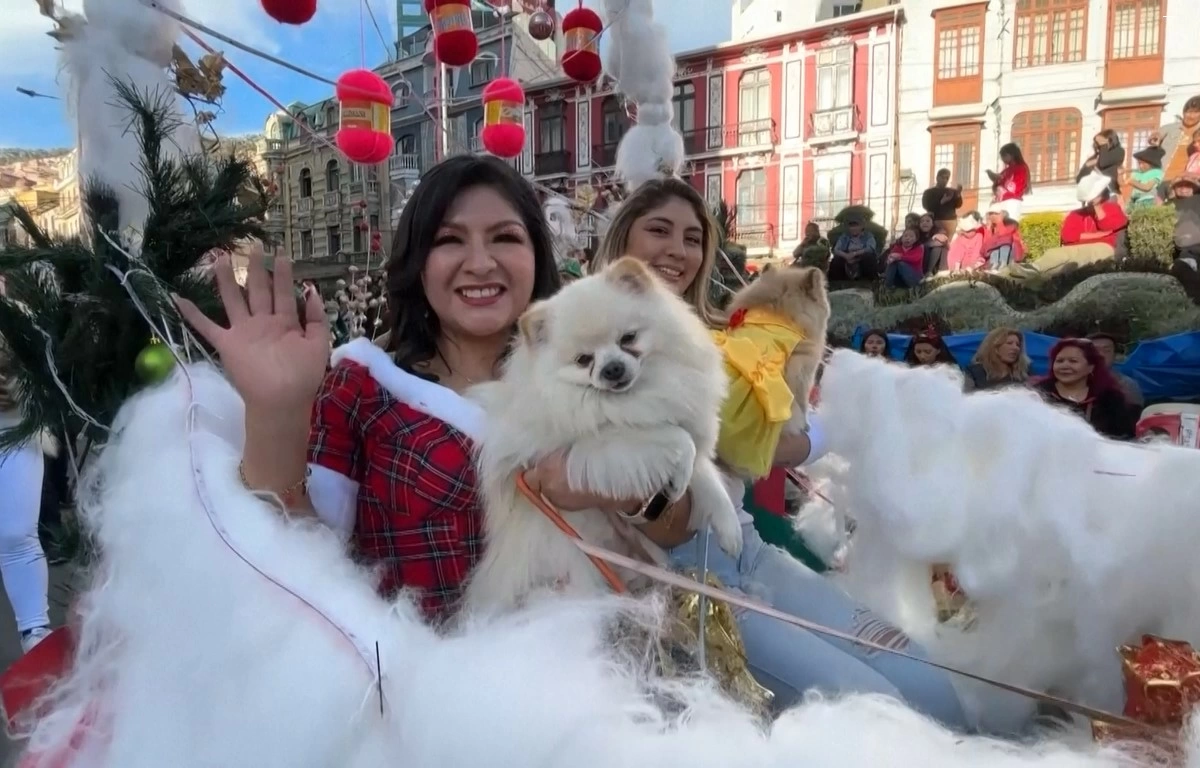 Nhiều người thể hiện tình cảm gắn bó và coi vật nuôi như thành viên trong gia đình.