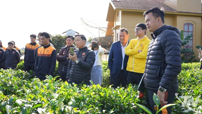 Cầu thủ dự Giải bóng đá Tứ hùng tham quan vùng chè Tân Cương và hồ Núi Cốc