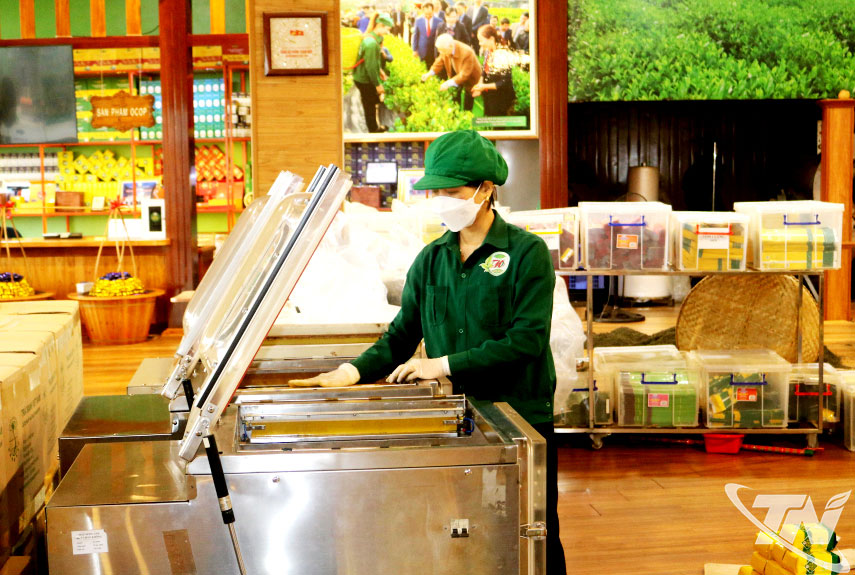 Nhiều HTX chè trên địa bàn tỉnh sử dụng máy đóng gói hút chân không để nâng cao chất lượng, thời gian bảo quản sản phẩm chè.