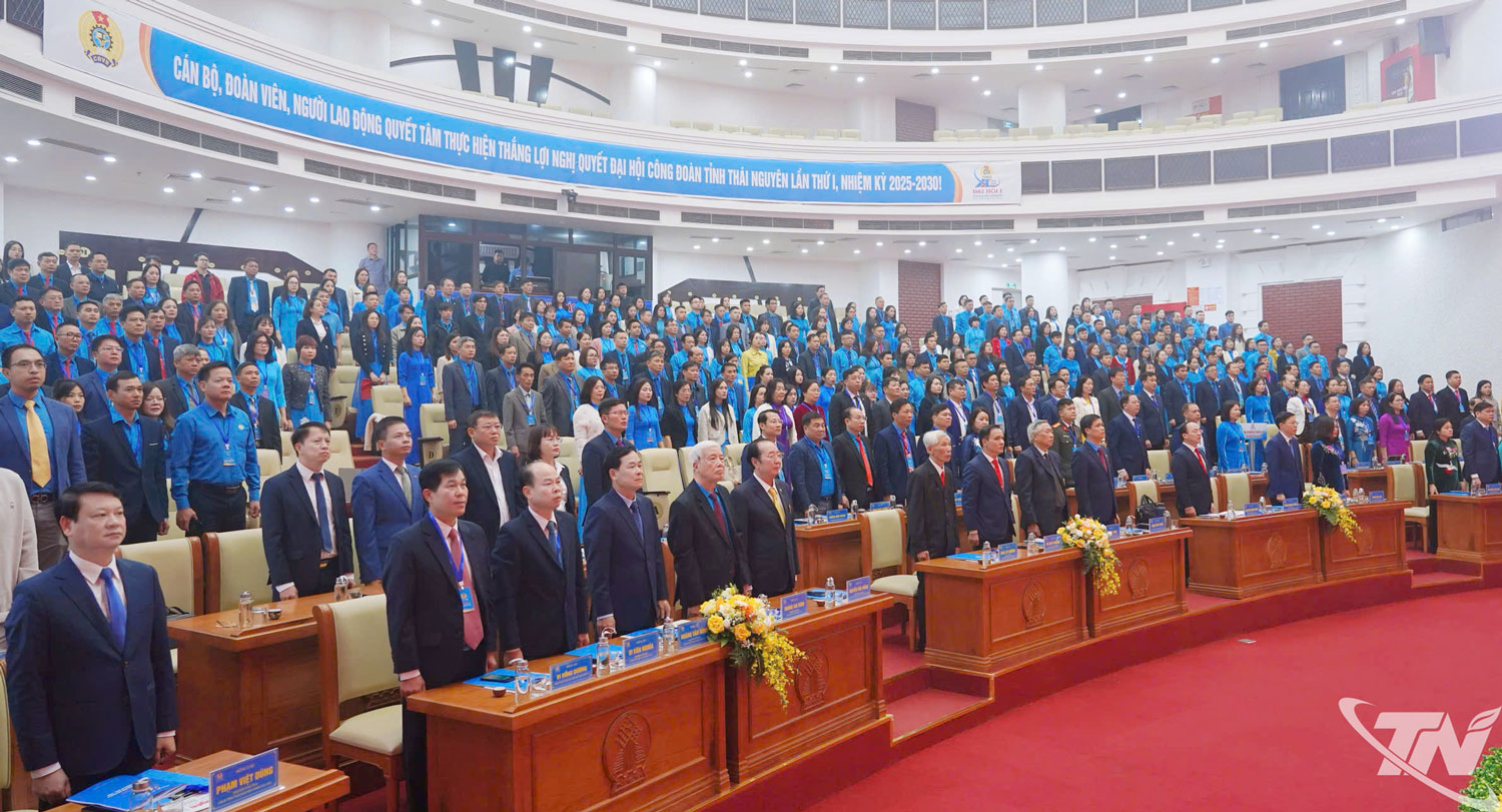 Các đại biểu thực hiện nghi thức chào cờ.